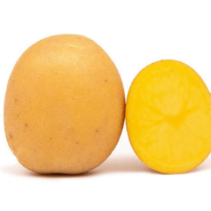 Sadbové zemiaky CHIARA