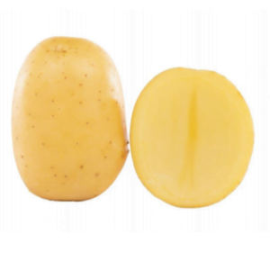Sadbové zemiaky HERBSTGOLD