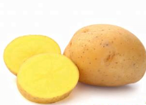 Sadbové zemiaky OTÓLIA