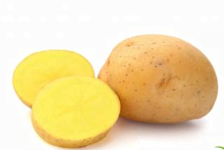 Sadbové zemiaky OTÓLIA