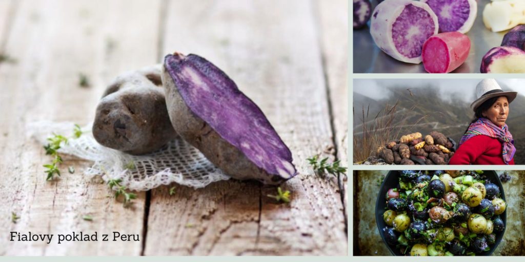 Fialové zemiaky Perupas