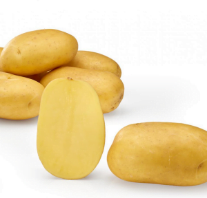 Sadbové zemiaky LEA