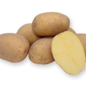 Sadbové zemiaky VOGUE