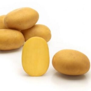 Sadbové zemiaky ALMONDA