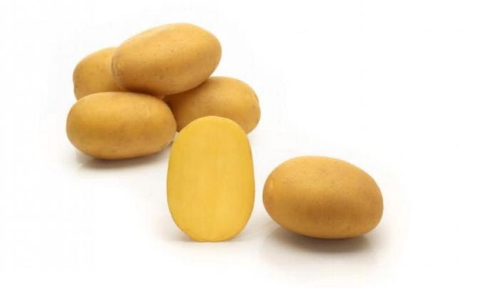 Sadbové zemiaky ALMONDA