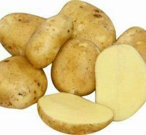 Sadbové zemiaky ADELA