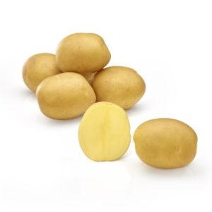 Sadbové zemiaky GAYA