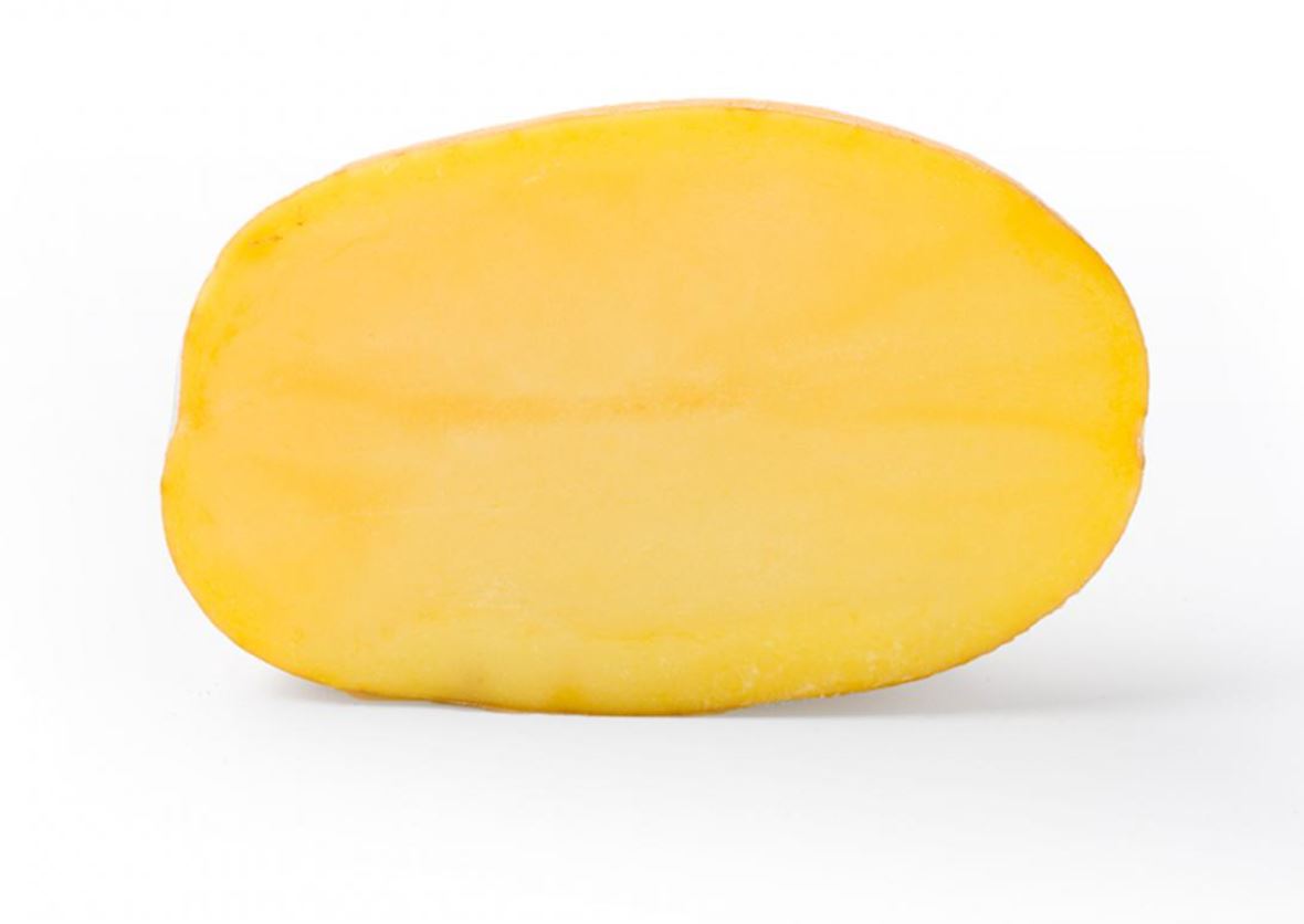 Sadbové zemiaky GOLDMARIE - Obrázok 3