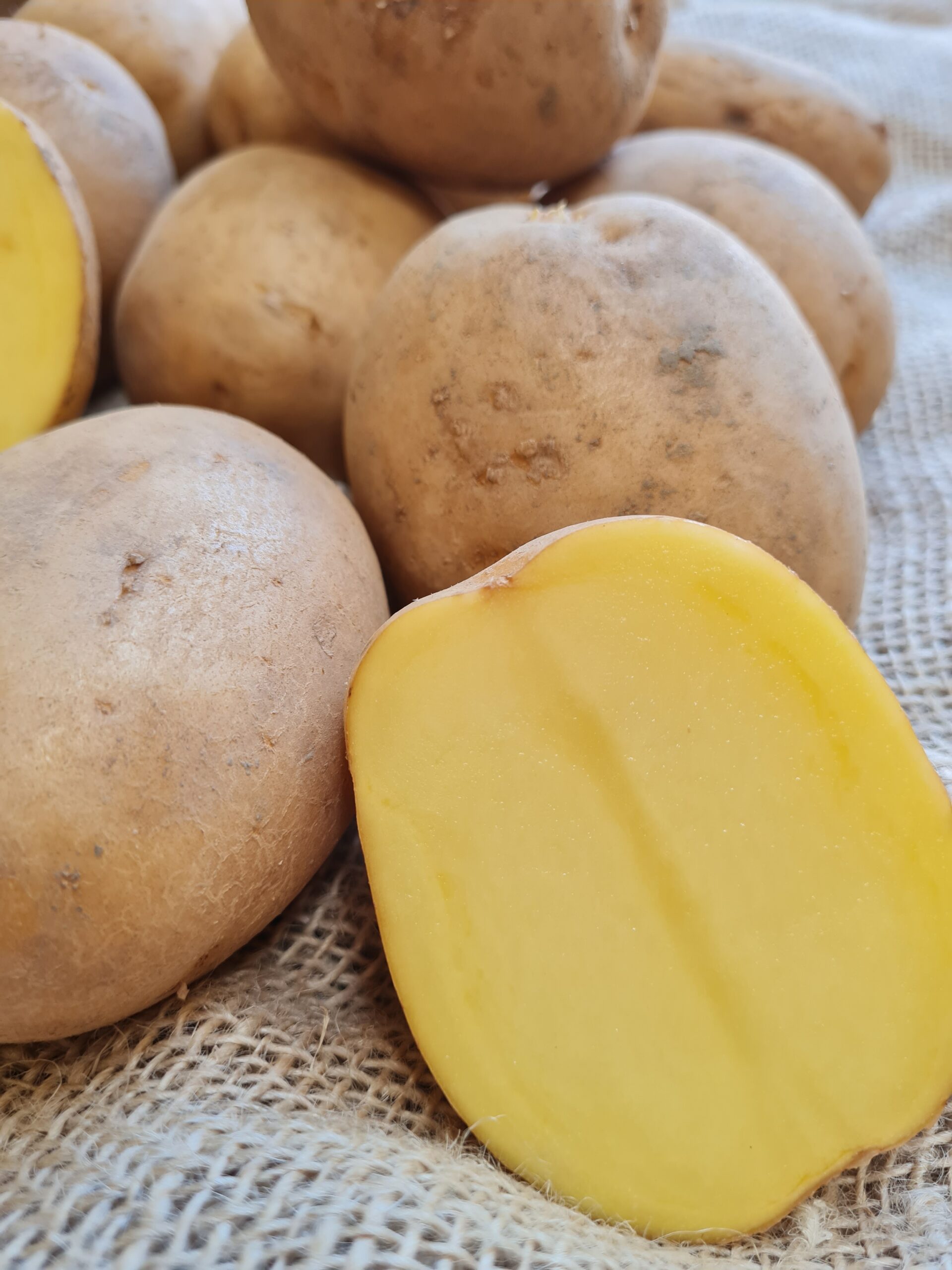 Konzumné zemiaky COLOMBA - NOVÉ zemiaky - slovenský farmár