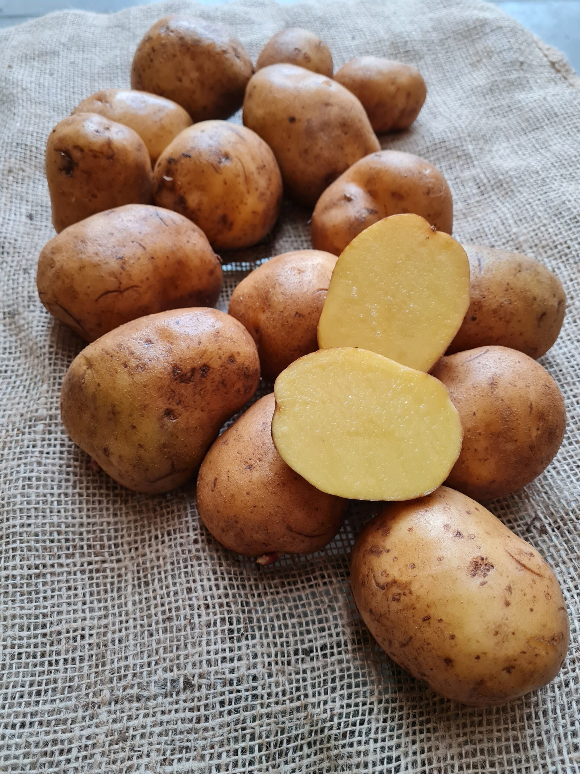 Konzumné zemiaky POCAHONTAS