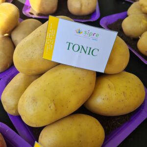 Sadbové zemiaky TONIC