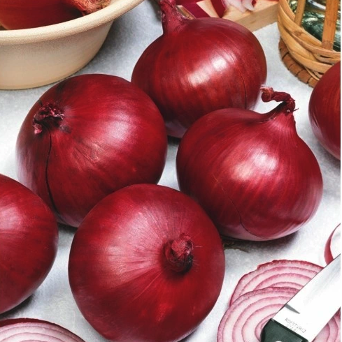 Cibuľa Red Karmen červená- sadzačka jarná 300g