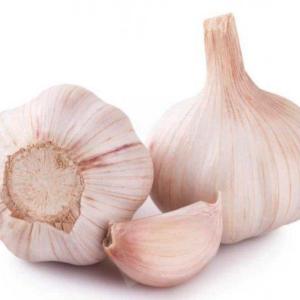 Cesnak Flavor- jarný 250g