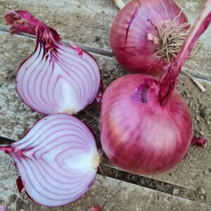 Konzumná cibuľa RED BULL od farmára