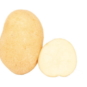 Nostling zemiaky skore