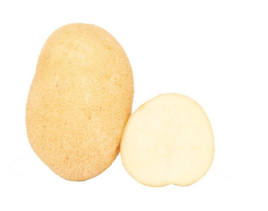 Nostling zemiaky skore