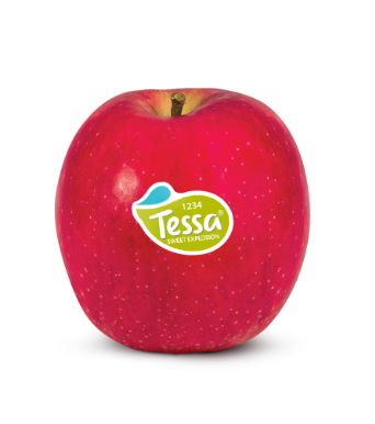 Jablká TESSA zo slovenského sadu 13 KG - Obrázok 2