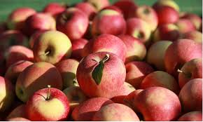 Jablká EVELINA zo slovenského sadu 13 KG - Obrázok 2