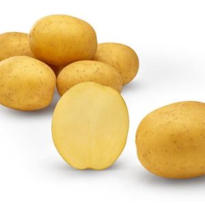 sadbove zemiaky Pocahontas